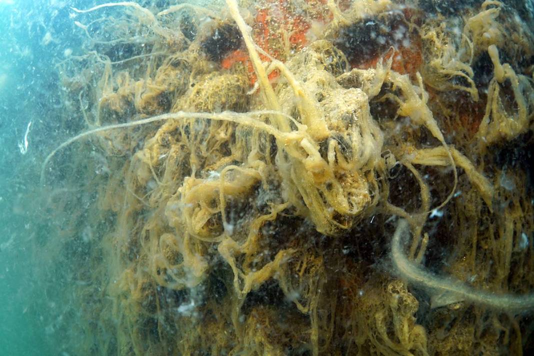 Marmara'da depremden sonra en büyük felaket sinsi sinsi gerçekleşiyor! Hiç kimse farkında değil, böyle görüntülendi 12